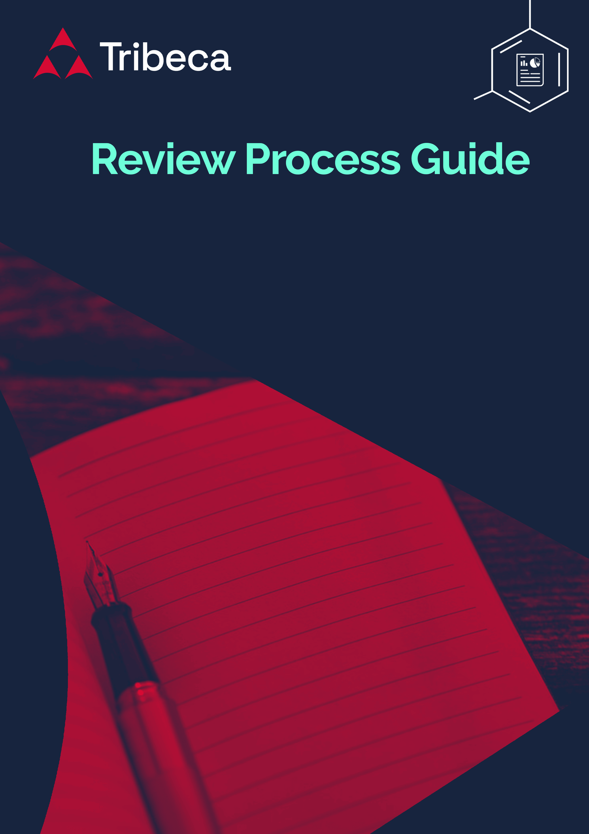 review-process-guide-tribeca-it